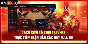 Cách Xem Gà Chọi - Trực Tiếp Trận Đấu Sắc Nét Full HD