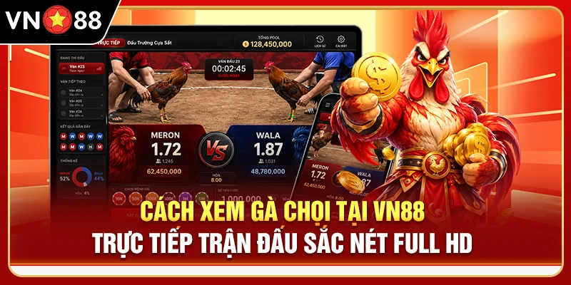Cách Xem Gà Chọi - Trực Tiếp Trận Đấu Sắc Nét Full HD