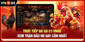 Trực Tiếp Đá Gà C1 VN88 - Xem Trận Đấu HD Gay Cấn Nhất