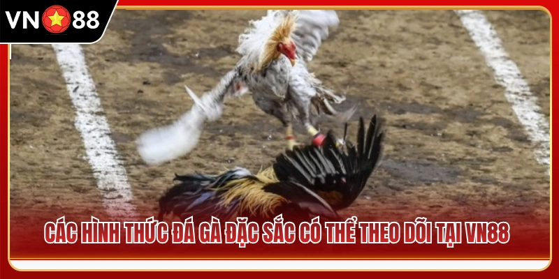 Những thể loại chọi gà hấp dẫn nhất được phát sóng ở VN 88