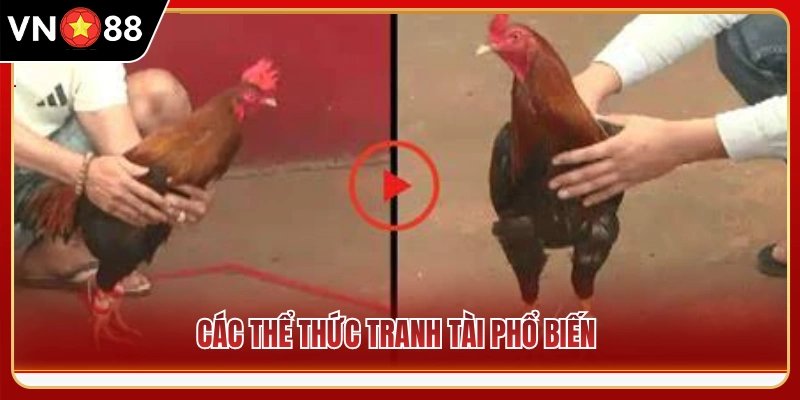 Danh mục các kiểu thi đấu thịnh hành